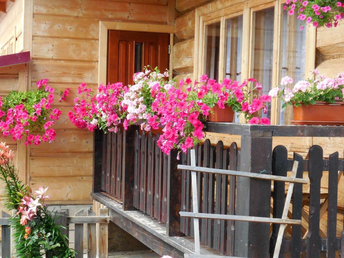 Pod Cyrlica U Jozi Homestay *