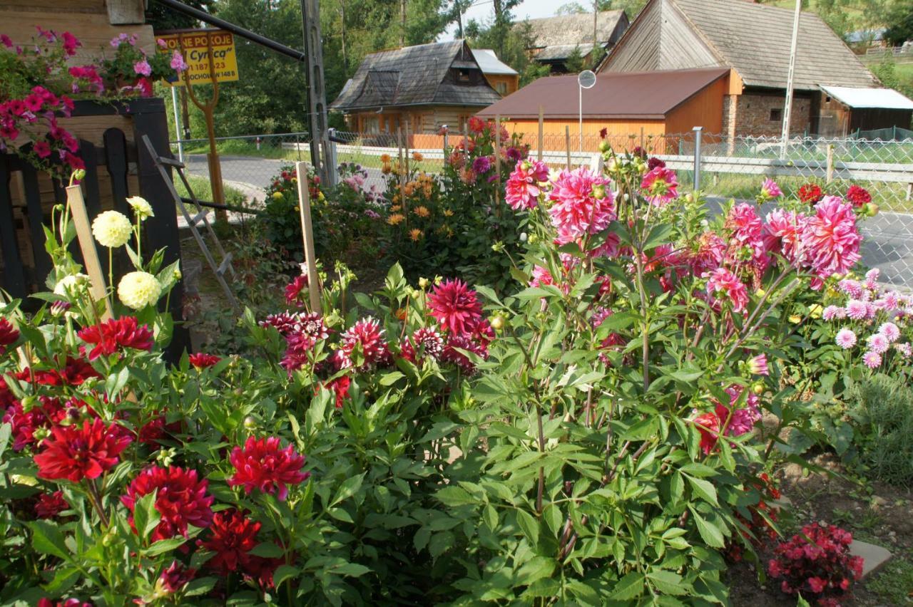 Homestay Pod Cyrlica U Jozi *